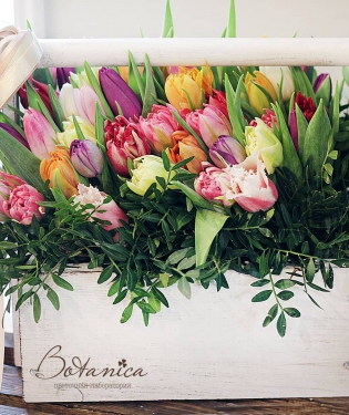 Цветы в ящике Тюльпановый фреш